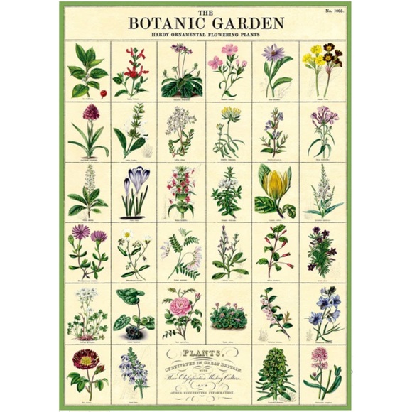 Cavallini & Co. Botanic Garden Vintage Image Chart, 20 x 28 Inch - NWT - Picture 1 of 6